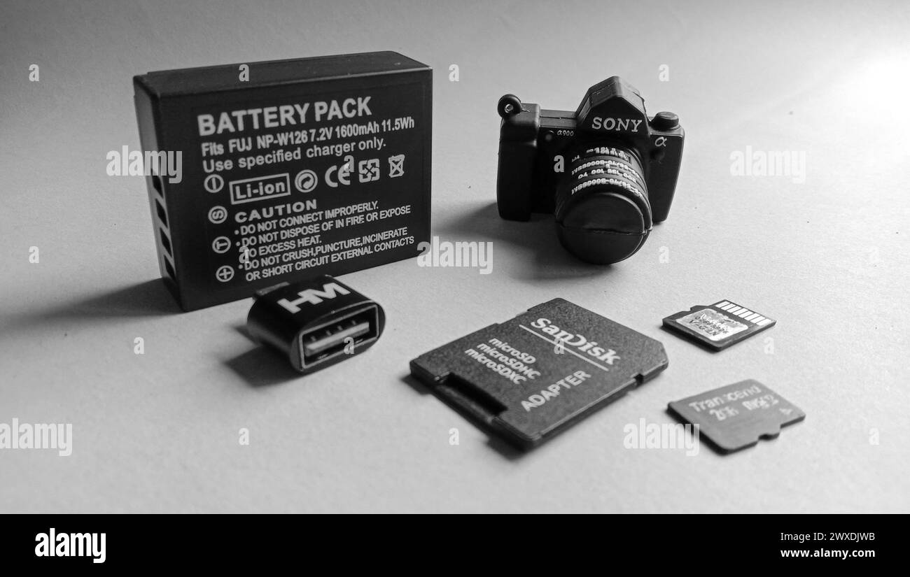Wadaslintang, 24. Februar 2021, Fotospeicherkarte, Maus, Flash-Disk, Kamera-Akku, SD-Karte in schwarzer Speicherkarte, Maus, Blitz, Kamera-Akku, SD c Stockfoto