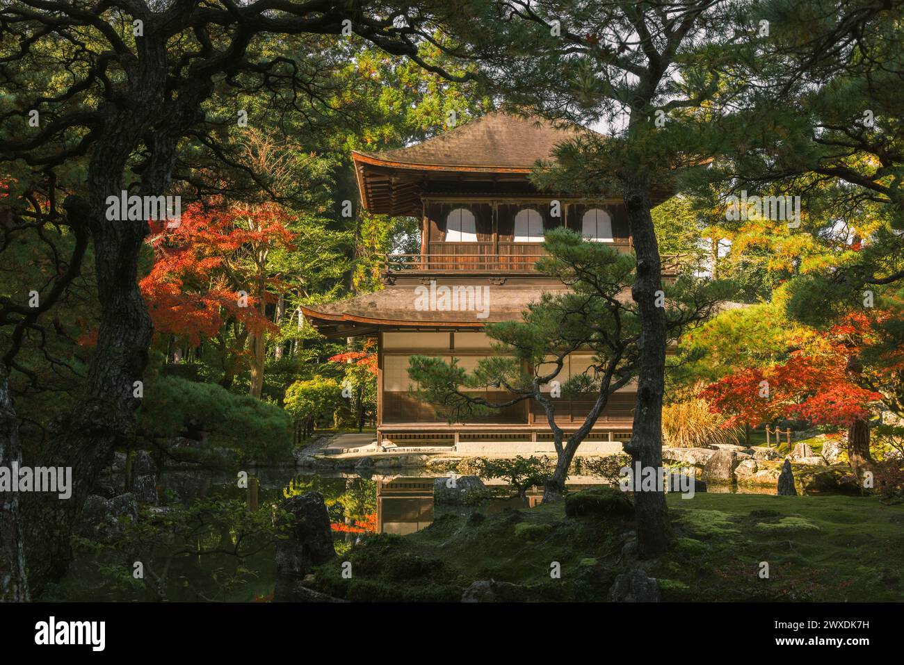 Higashiyama Jisho-JI Tempel in Kyoto im Herbst, ein traditioneller japanischer Garten mit roten Blättern auf Ahornbäumen Stockfoto