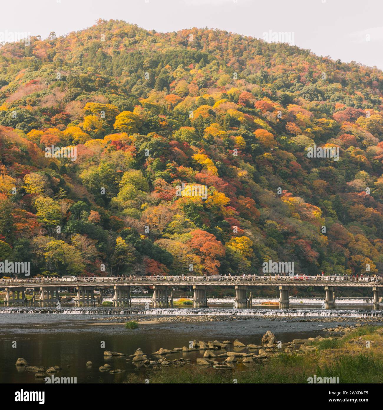 Arashiyama, Kyoto, Herbstlaub auf Hügeln in der Landschaft mit Togetsu-kyo-Brücke. Herbstfarben mit Ahornbäumen. Stockfoto