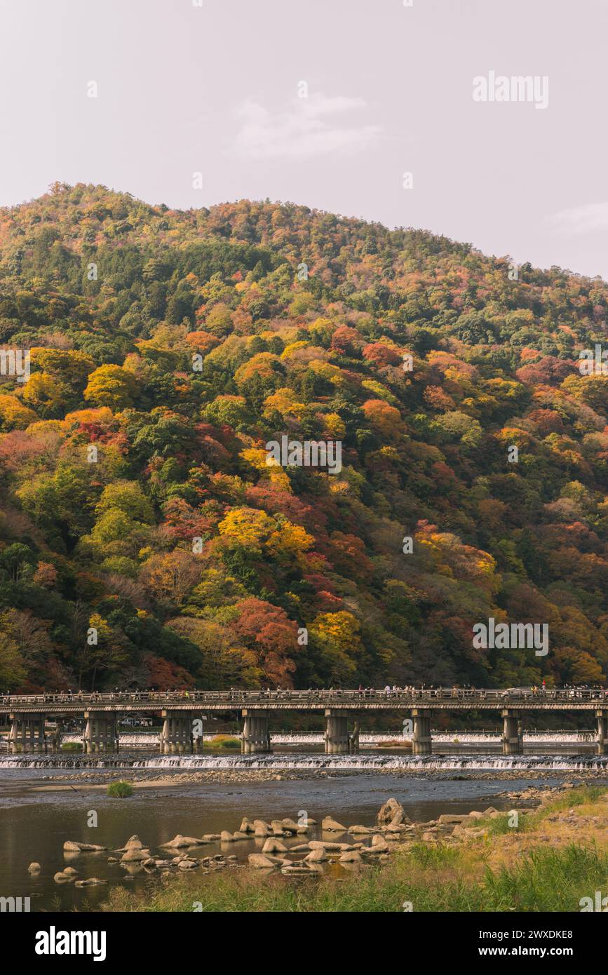Arashiyama, Kyoto, Herbstlaub auf Hügeln in der Landschaft mit Togetsu-kyo-Brücke. Herbstfarben mit Ahornbäumen. Stockfoto