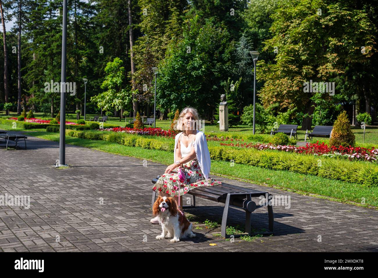 Frau und Hund - Kavalier King Charles Spaniel - Entspannen in einem öffentlichen Park mit üppigen Blumen, Pflanzen, Gras und Bäumen Stockfoto