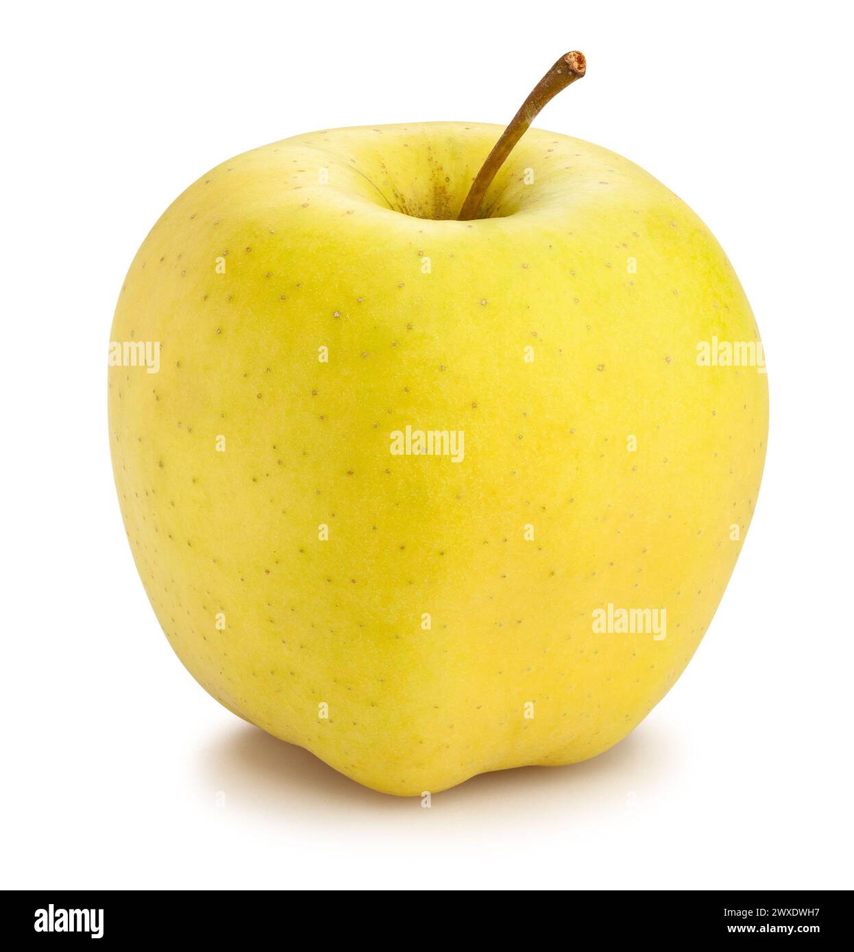 goldener köstlicher Apfelpfad isoliert auf weiß Stockfoto