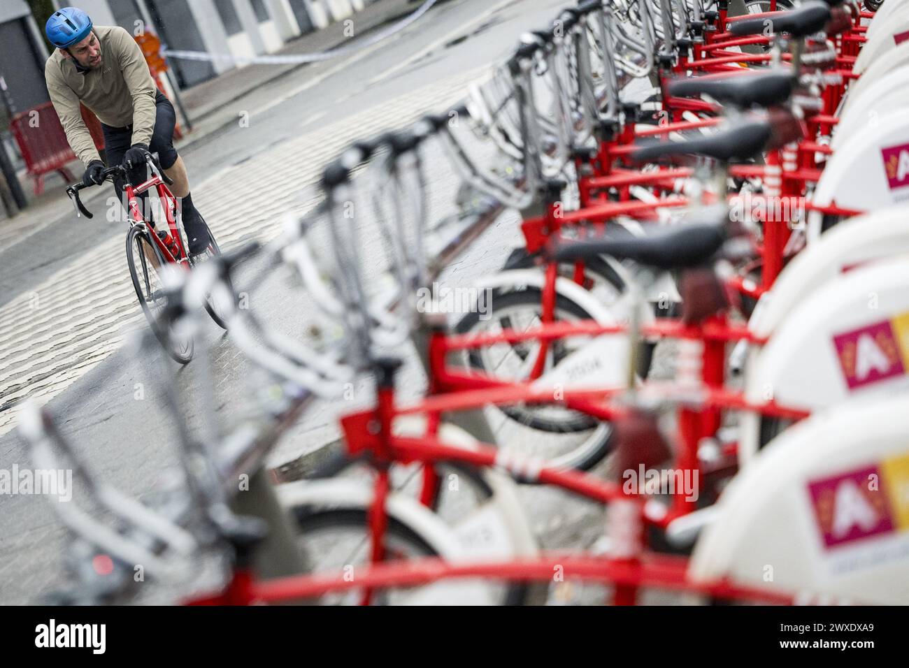 Oudenaarde, Belgien. 30. März 2024. Abbildung der Radfahrer, die während des Starts der „We Ride Flanders“-Veranstaltung für Radsportfreunde auf (Teilen) der Strecke vor dem Radrennen Ronde van Vlaanderen/Tour des Flandres/Tour of Flanders, Samstag, den 30. März 2024, aufgenommen wurden. BELGA FOTO DAVID PINTENS Credit: Belga News Agency/Alamy Live News Stockfoto