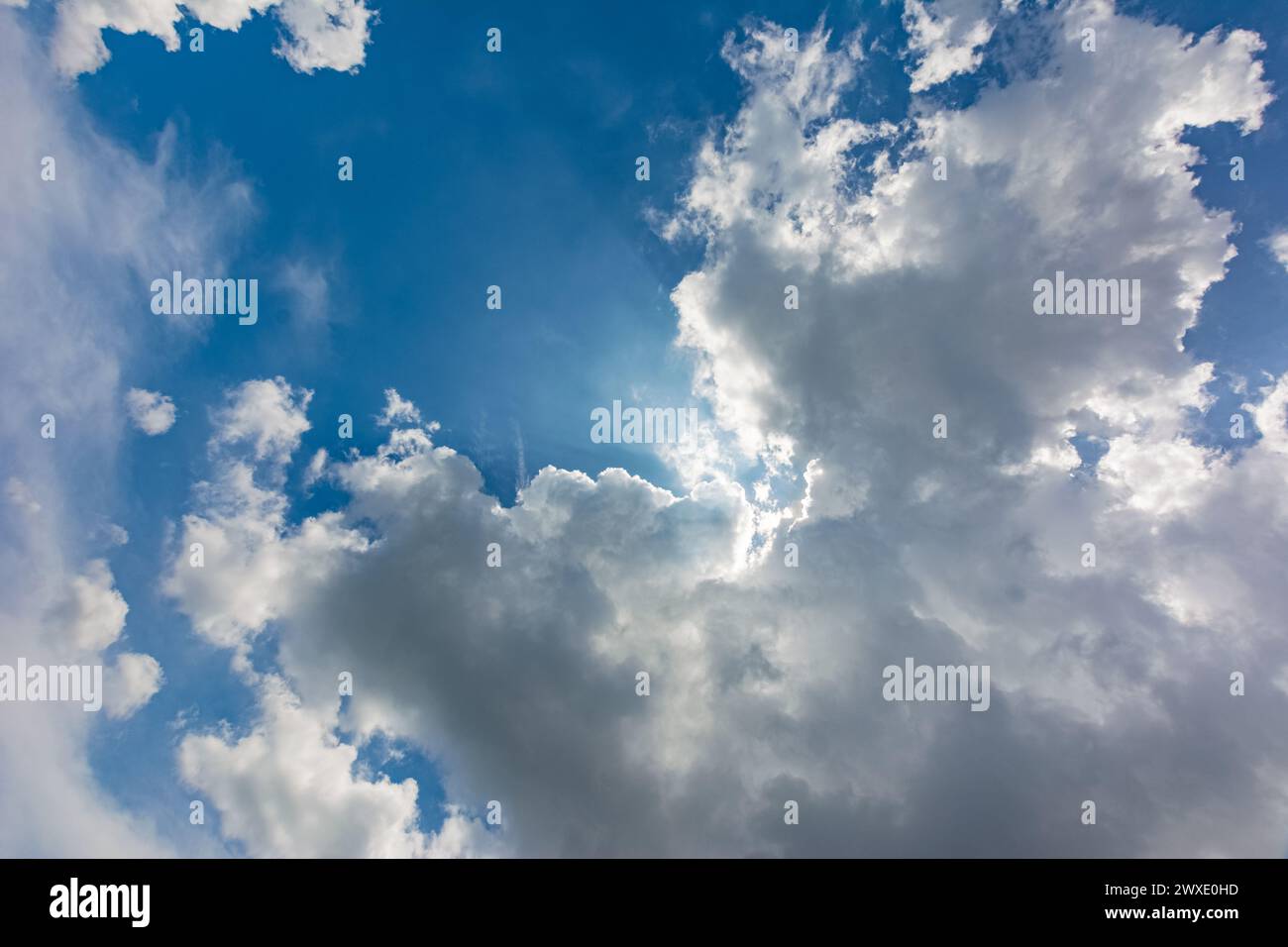 Eine Cumulus-Wolke bedeckt die Sonne. Strahlen durch Wolken. Froschperspektive. Stockfoto