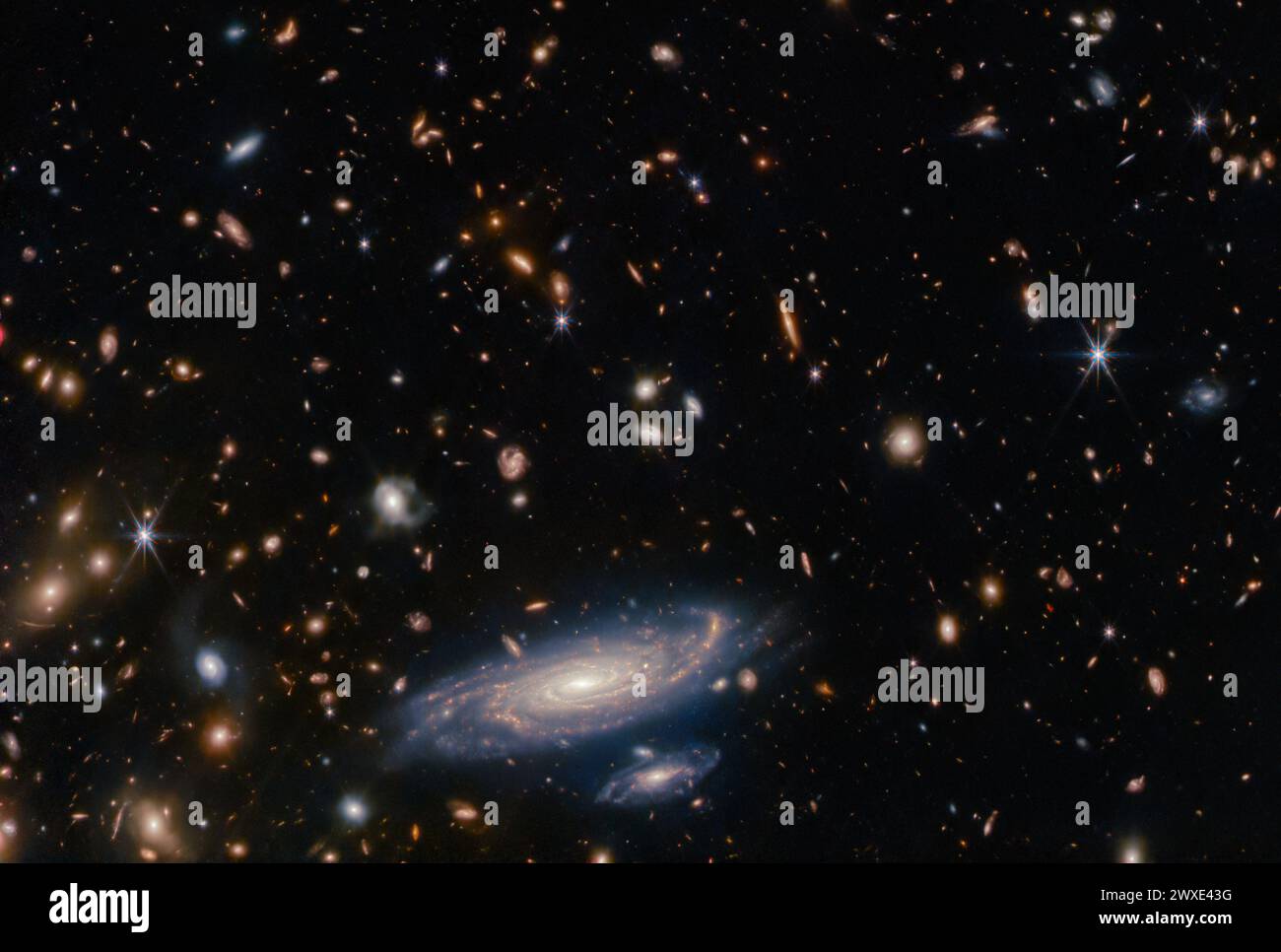 Ein überfülltes Galaxienfeld, das vom James Webb Space Telescope der NASA/ESA/CSA aufgenommen wurde, zusammen mit hellen Sternen, die mit Webbs charakteristischen sechs-spitzen Beugungsspitzen gekrönt sind. Die große Spiralgalaxie an der Basis dieses Bildes wird von einer Fülle kleinerer, weiter entfernter Galaxien begleitet, die von vollwertigen Spiralen bis hin zu hellen Flecken reichen. Sie heißt Leda 2046648 und liegt etwas mehr als eine Milliarde Lichtjahre von der Erde entfernt im Sternbild Herkules. KREDIT: NASA/ESA/CSA Stockfoto