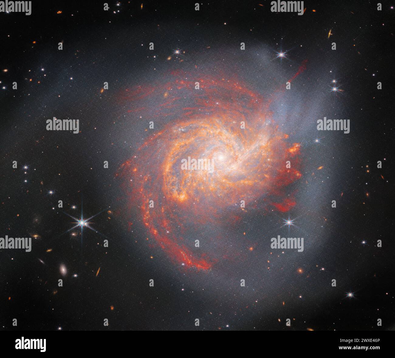Die eigenartige Galaxie NGC 3256 dominiert dieses Bild vom James Webb Space Telescope. Diese Milchstraße-große Galaxie liegt etwa 120 Millionen Lichtjahre entfernt im Sternbild Vela und ist ein Bewohner des Hydra-Centaurus-Superhaufens. NGC 3256 mag friedlich erscheinen, ein Wirbel eng verschlungener Spiralarme, die in einer trüben Lichtwolke liegen, aber dieses Bild zeigt die Nachwirkungen eines antiken kosmischen Zusammenstoßes. Diese verzerrte Galaxie ist das Wrack einer Frontalkollision zwischen zwei gleich massereichen Spiralgalaxien, die Astronomen vor etwa 500 Millionen Jahren getroffen haben. KREDIT: NASA/ESA/CSA Stockfoto