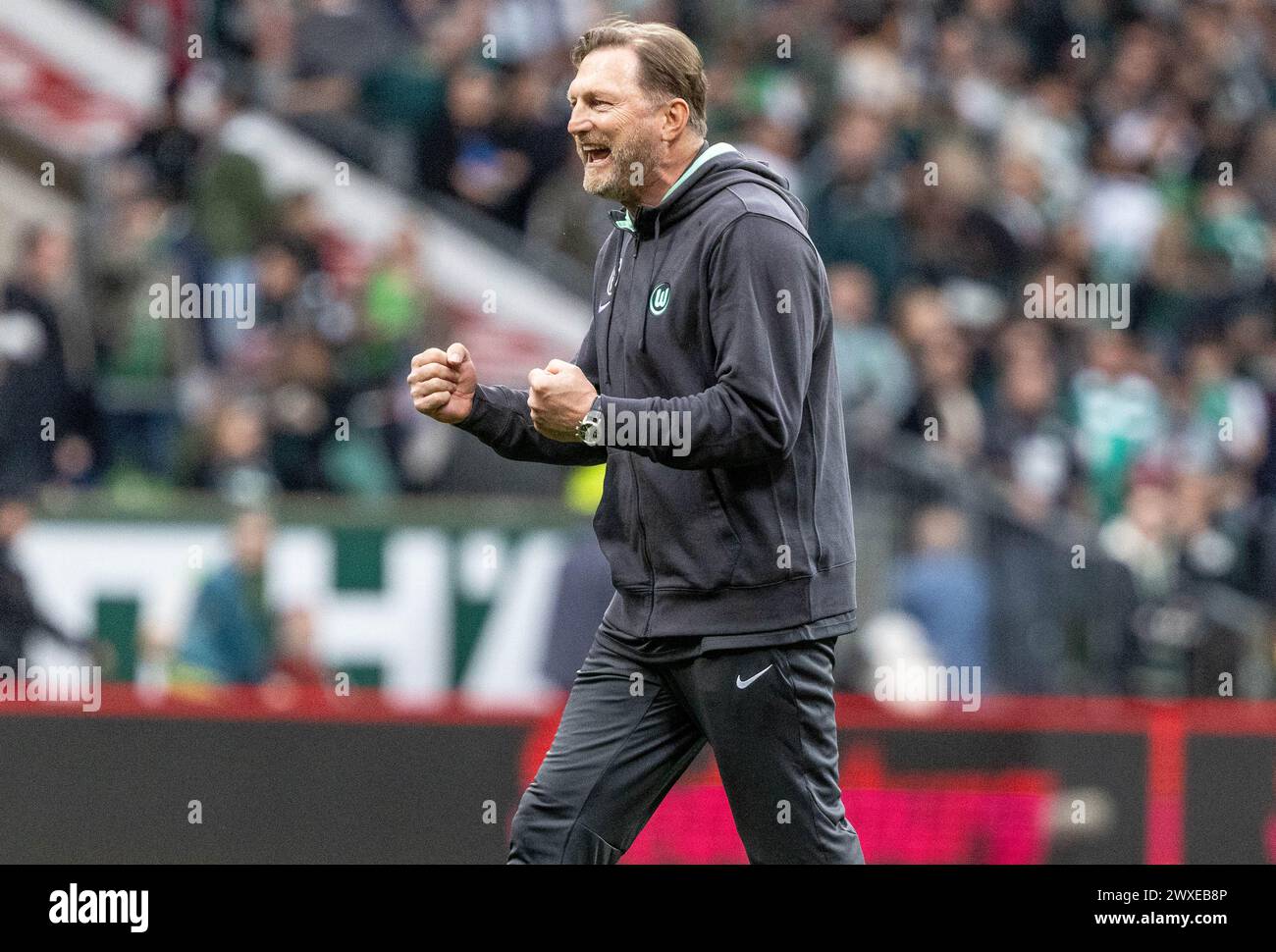 Bremen, Deutschland. 30. März 2024. Fußball: Bundesliga, Werder Bremen - VfL Wolfsburg, Spieltag 27, wohninvest Weserstadion. Wolfsburger Trainer Ralph Hasenhüttl feiert den Sieg. Hinweis: Axel Heimken/dpa – WICHTIGER HINWEIS: gemäß den Vorschriften der DFL Deutscher Fußball-Liga und des DFB Deutscher Fußball-Bundes ist es verboten, im Stadion und/oder des Spiels aufgenommene Fotografien in Form von sequenziellen Bildern und/oder videoähnlichen Fotoserien zu verwenden oder zu nutzen./dpa/Alamy Live News Stockfoto