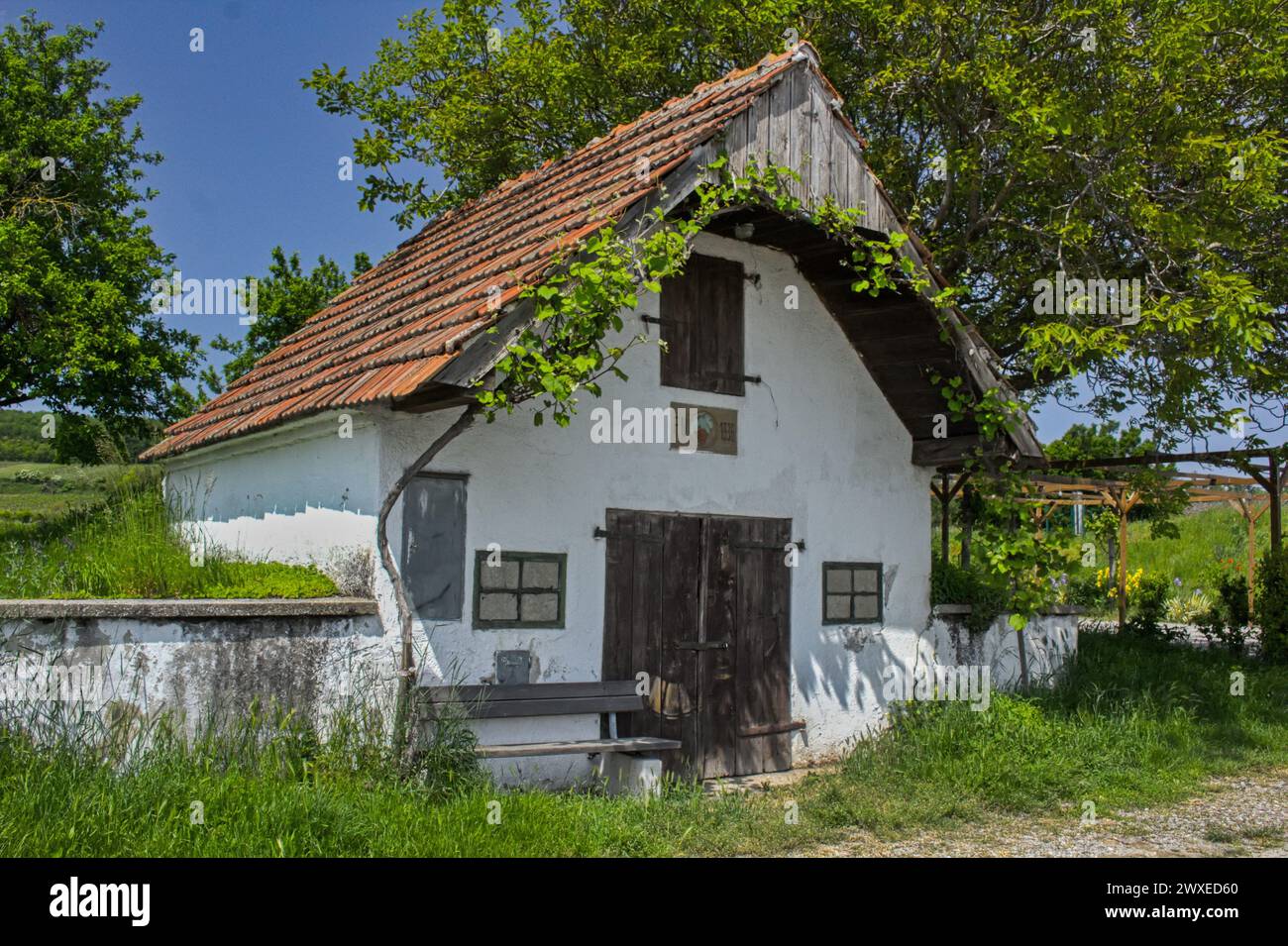 Traditionelle Weinkeller im Burgenland, Region Österreich Stockfoto