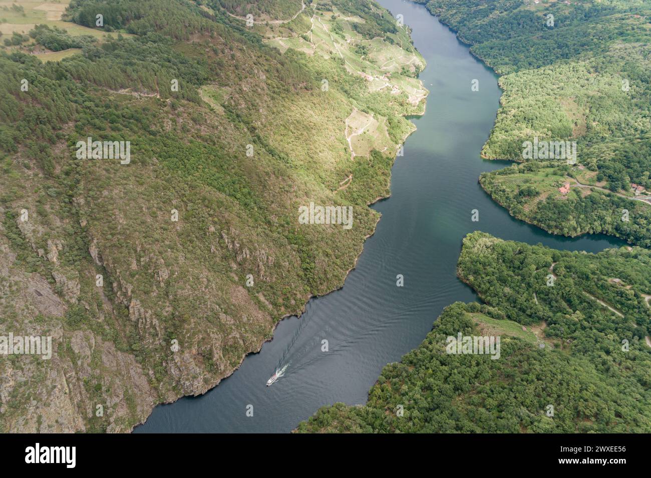 Touristenboot segelt durch den Sil River Canyon, Ribeira Sacra. Galicien. Spanien Stockfoto