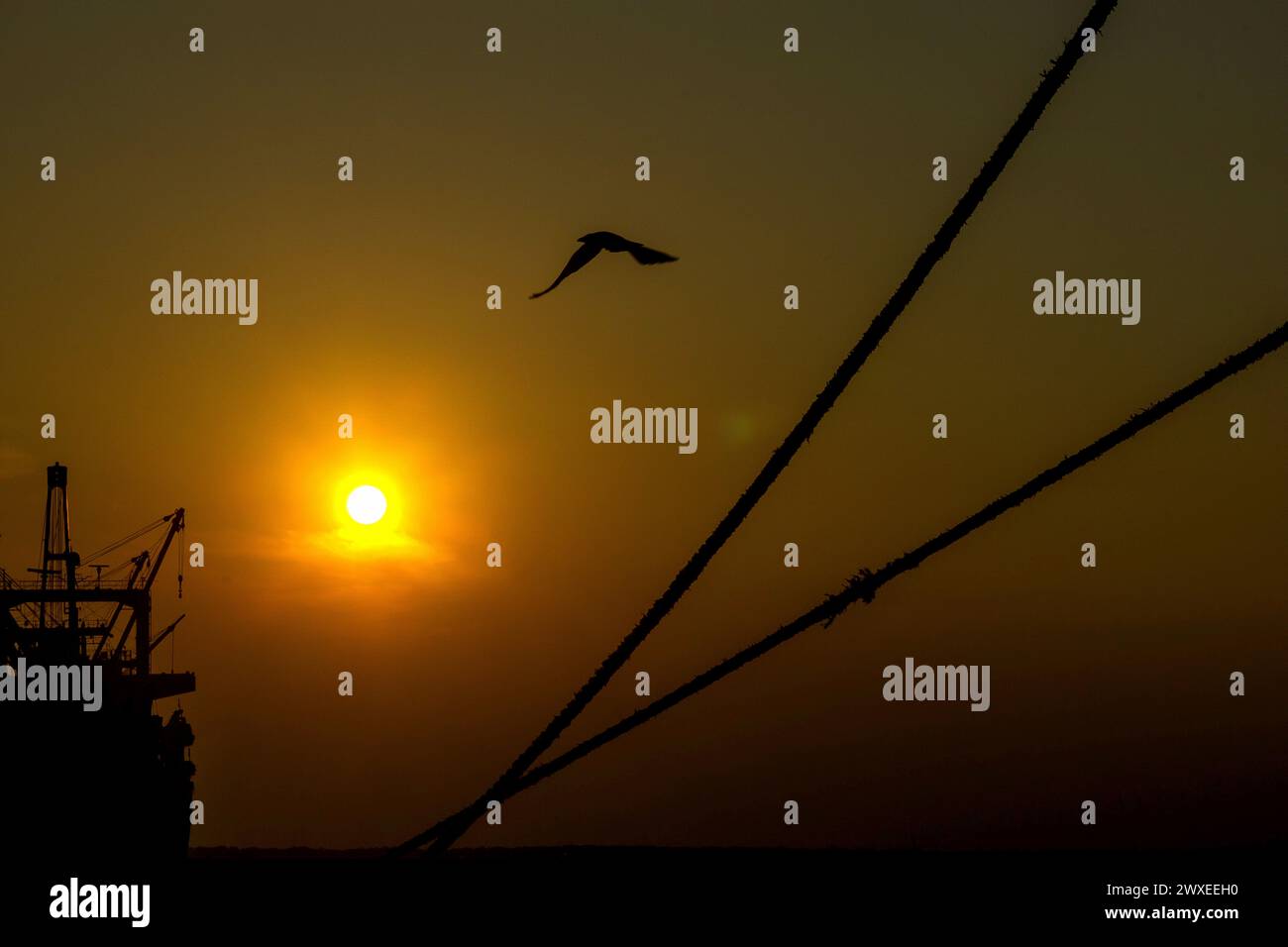 Indonesische Produktivitätsaktivitäten werden am 28. März 2024 im Hafen von Belawan, Medan, Nord-Sumatra, Indonesien, in Silhouette gesehen. Farid Chairmawan, Vice President of Corporate Communications von PT Pelindo Multi Terminal Belawan, sagte, PT Pelindo Multi Terminal (SPMT), eine Unterholding von PT Pelabuhan Indonesia (Persero) oder Pelindo tätige im Hafensegment im Bereich des Betriebs von nicht-Container-Terminals in Indonesien. Um den Dienstleistungsnutzern erstklassige Dienstleistungen zu bieten, setzt sich die SPMT Group weiterhin für die Umgestaltung der 25 Terminals in den Häfen ein, die sie in ganz Indonesien verwaltet Stockfoto
