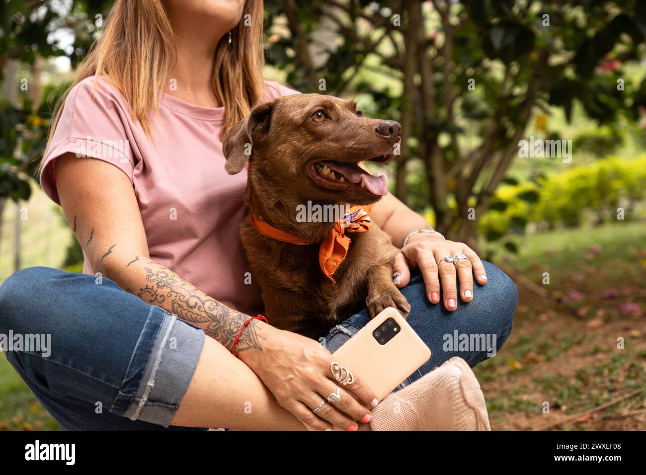 Niedlicher Hund mit Bandana, der mit ihrem Besitzer im Park sitzt und genießt Stockfoto