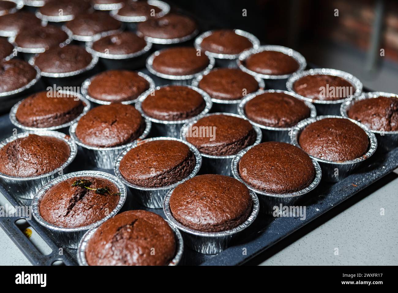 Reihen frisch gebackener Schokoladen-Muffins, die auf einem Tablett abkühlen, mit einer satten braunen Farbe und einer aufgerissenen Oberfläche. Stockfoto