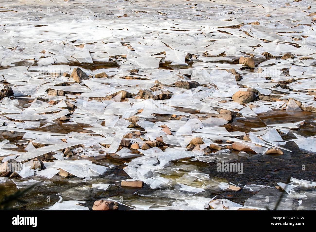 Ein flacher Fluss, bedeckt mit Scherben von gebrochenem Eis, gestützt von Schlamm und Felsen. Etwas Wasser fließt durch das Eis. Stockfoto