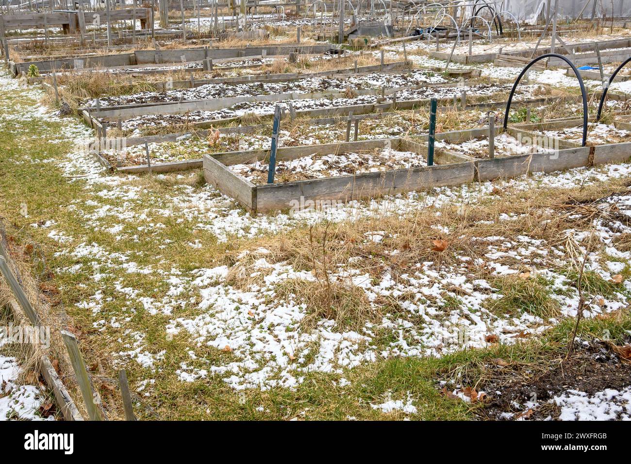 Ein Gemeinschaftsgarten im Winter. Der Garten hat Plätze für Pflanzen, ist aber ansonsten leer, außer totem Gras und Schnee. Stockfoto