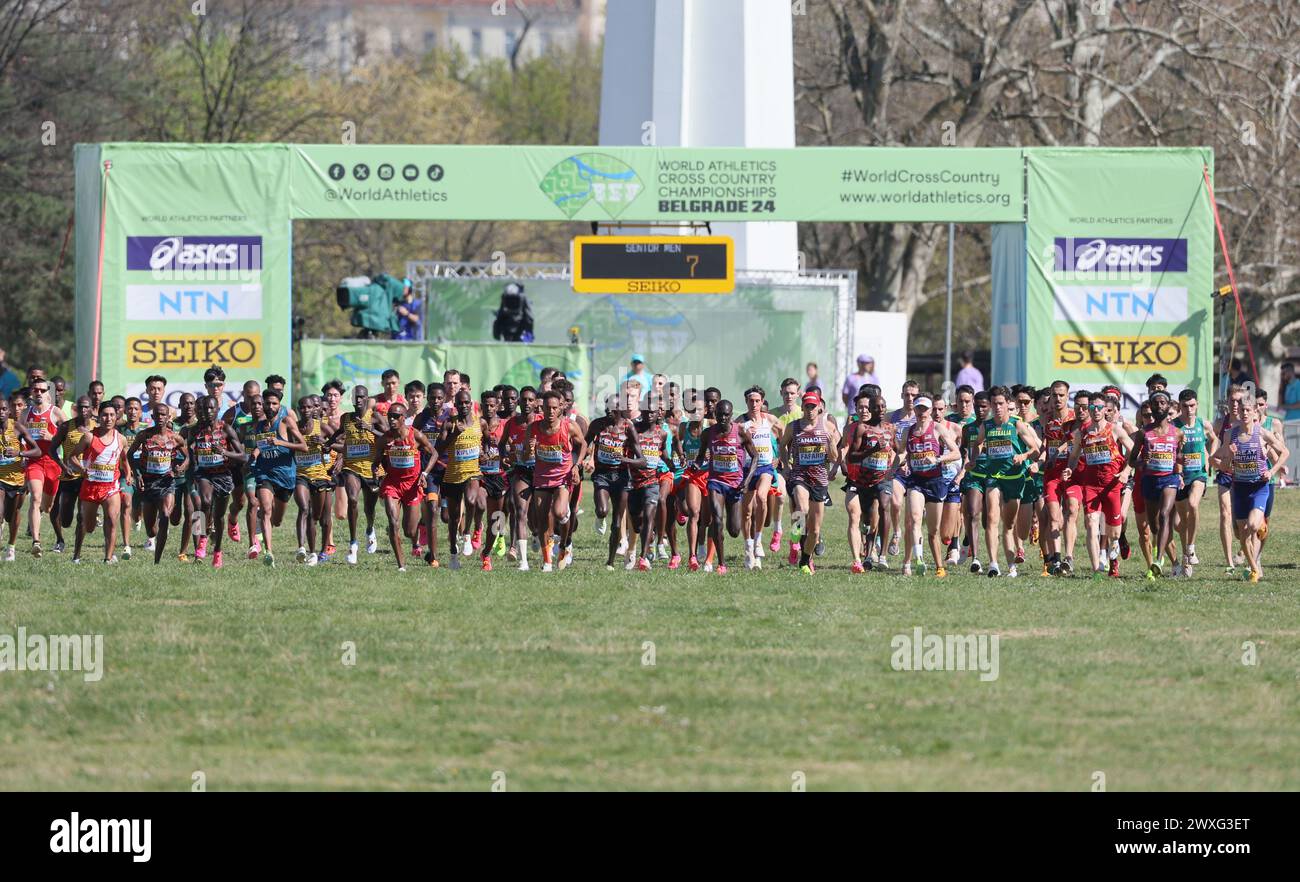 Belgrad, Serbien. 30. März 2024. Die Teilnehmer laufen beim Seniorenrennen der Männer bei den Leichtathletik-Cross-Country-Weltmeisterschaften 2024 in Belgrad, Serbien, am 30. März 2024. Quelle: Predrag Milosavljevic/Xinhua/Alamy Live News Stockfoto