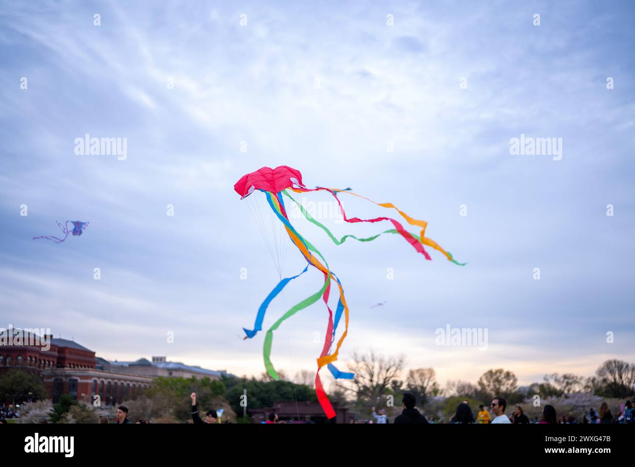 Washington, District of Columbia, USA. 30. März 2024. Während des Blossom Kite Festivals 2024 schweben bunte Drachen vor dem Hintergrund des berühmten Washington Monuments. Begeisterte Drachenflieger aller Altersgruppen versammelten sich in der National Mall und ihre Kreationen tanzten in der Frühlingsbrise. Das diesjährige Festival ist eine hochgeschätzte Tradition, die sich über 50 Jahre erstreckt. Es war eine Feier der Kunst, der Gemeinschaft und der Freude am Flug. (Kreditbild: © Natascha Tahabsem/ZUMA Press Wire) NUR REDAKTIONELLE VERWENDUNG! Nicht für kommerzielle ZWECKE! Quelle: ZUMA Press, Inc./Alamy Live News Stockfoto