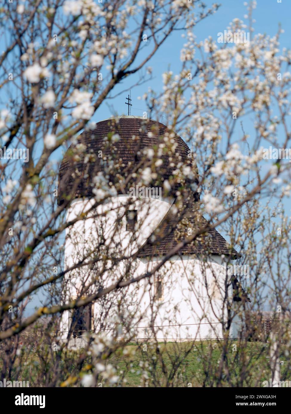 Öskü Rundkirche, Öskü, Ungarn Stockfoto