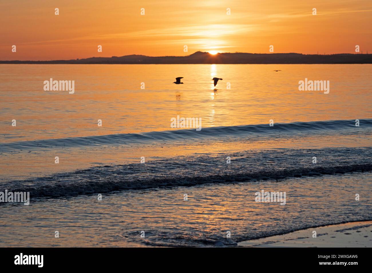 Portobello, Edinburgh, Schottland, Großbritannien. 31. März 2024. Atemberaubender Sonnenaufgang im britischen Sommer an der schottischen Küste sowie Ostersonntag. Quelle: Arch White/Alamy Live News. Stockfoto