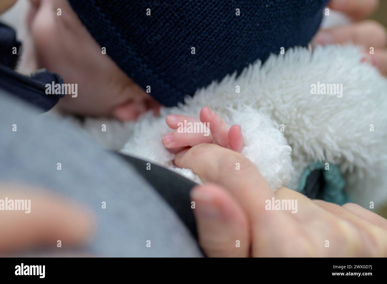 Nahaufnahme der Hand eines kleinen Babys, das die Hand der Mütter hält, mit seinen kleinen Fingern draußen Stockfoto