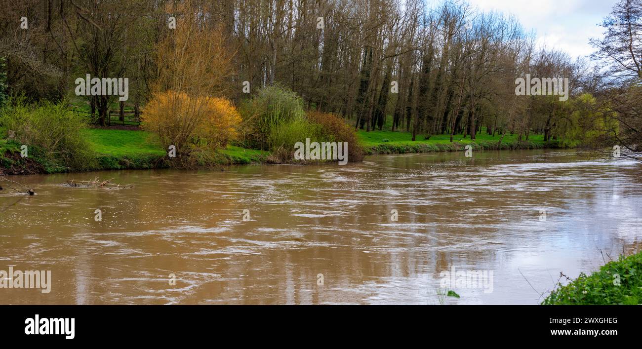 River Medway bei Barming bei Maidstone in Kent, England Stockfoto