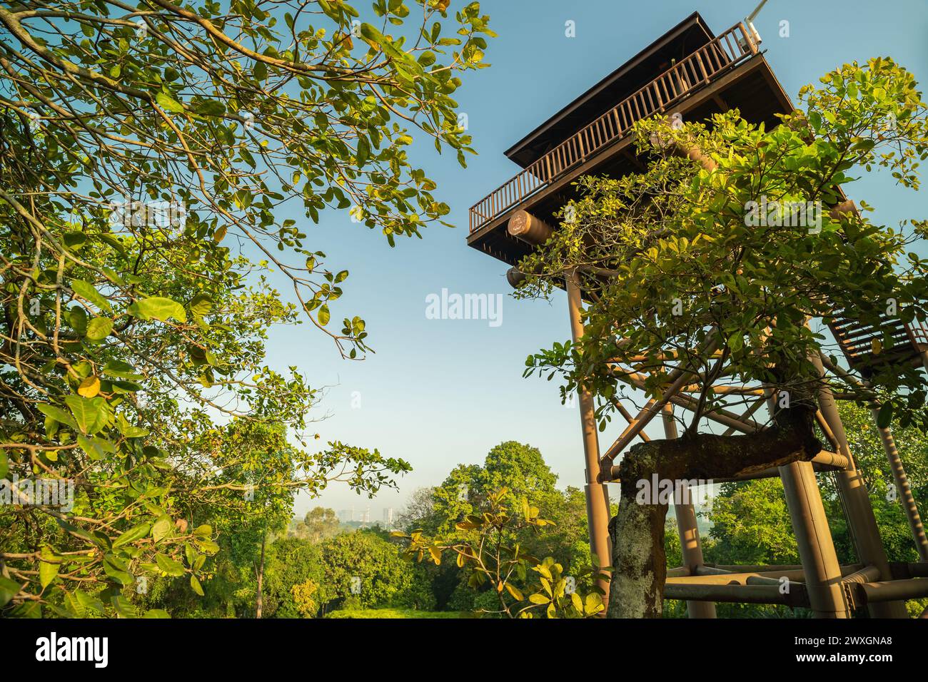 Wunderschöner Blick auf die Aussichtstürme im Putrajaya Wetlands Park. Stockfoto
