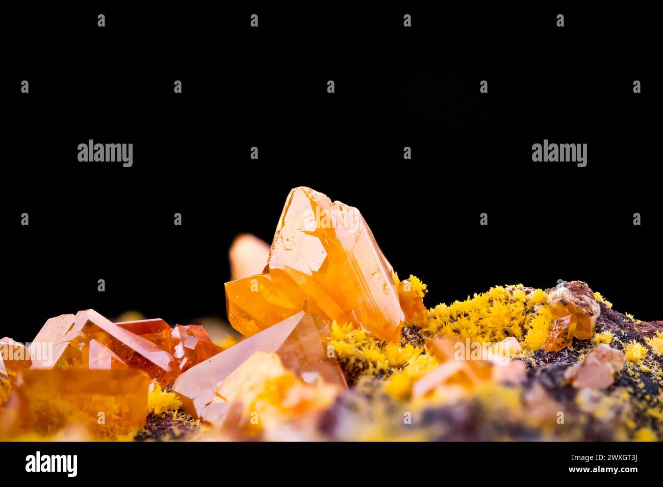 Orange Wulfenit mit gelber Mimetit-Makrofotografie. Von der Red Cloud Mine, La paz County, arizona, USA. Hintergrund für Detailtextur. Nahaufnahme RAW Rou Stockfoto