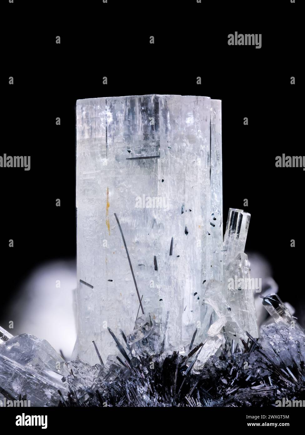 Goshenit (farbloses beryl) auf Schorl aus Namibia. Makrofotografie Detail Textur Hintergrund. Nahaufnahme roher, unpolierter Halbedelstein Stockfoto