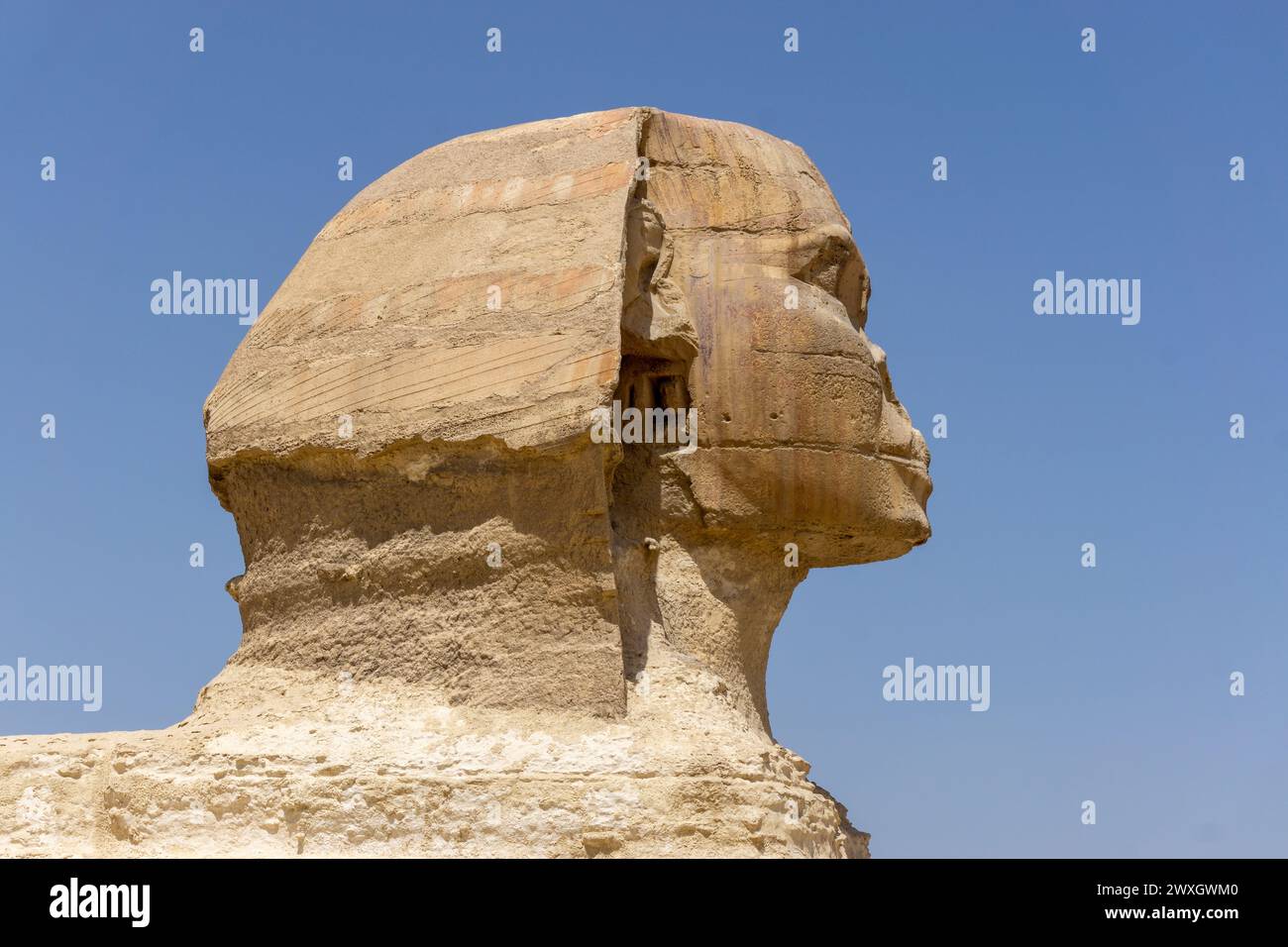 Die Sphinx im Pyramidenkomplex von Gizeh, Kairo, Ägypten Stockfoto
