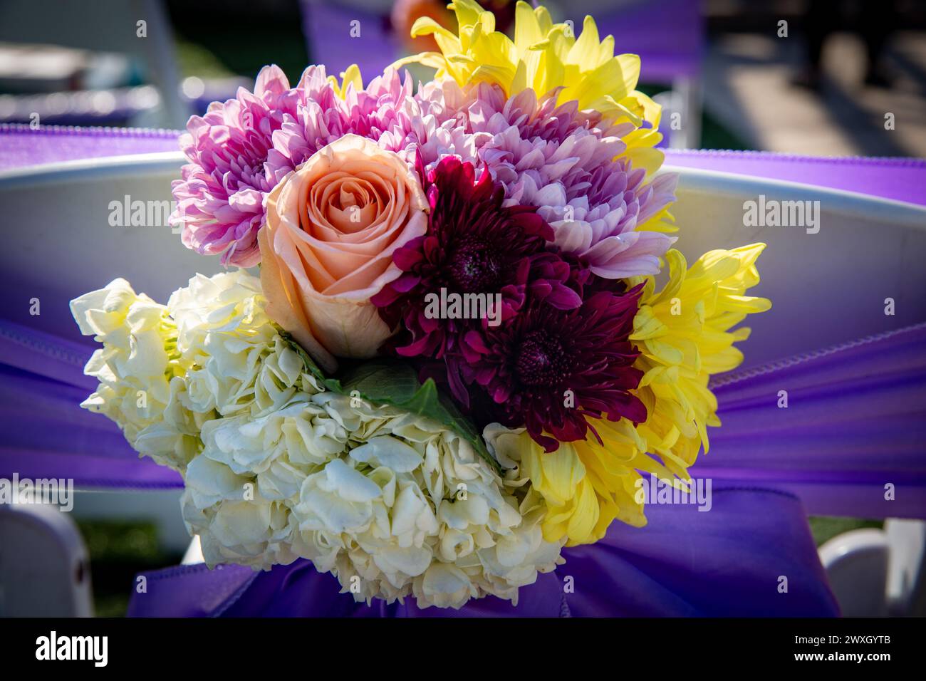 Bilder Von Echten Blumen
