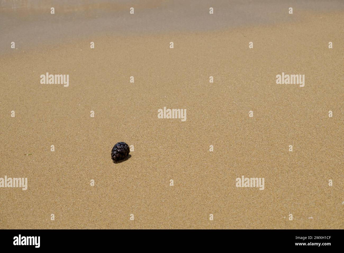 Ammes Beach, Kefalonia, Griechenland Stockfoto