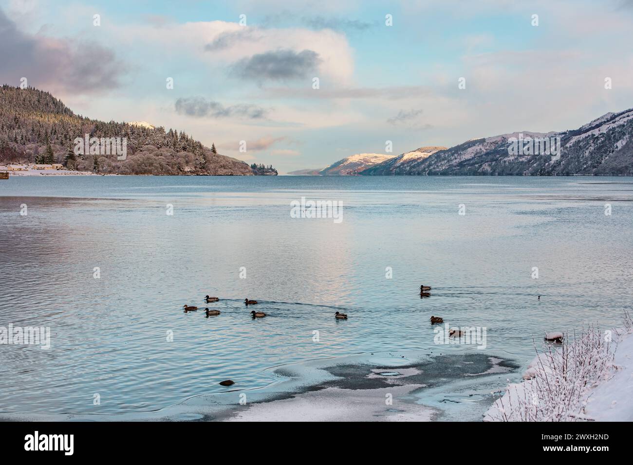 Loch Ness an einem eisigen Wintertag, an dem Enten im Vordergrund schwimmen und Berge in der Ferne Stockfoto