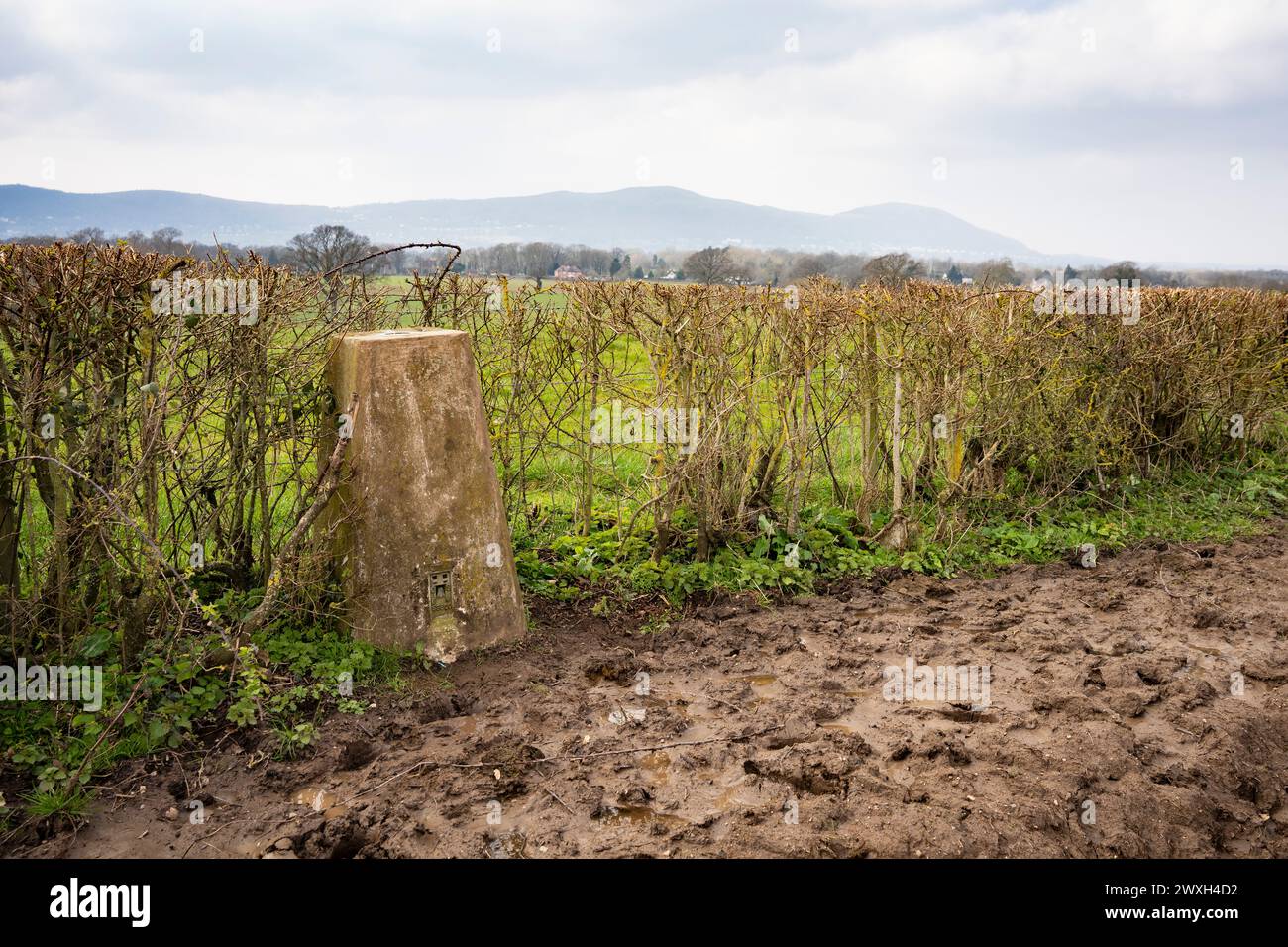 Triangulationssäule (Trigpunkt) auf Lantbridge Hill, Worcestershire Stockfoto