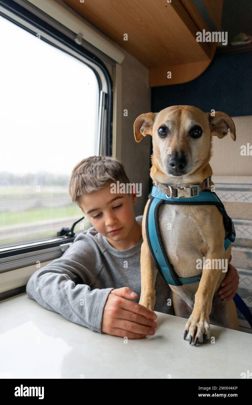 Familie mit einem Kind und einem Hund, der zusammen in einem Wohnmobil unterwegs ist Stockfoto