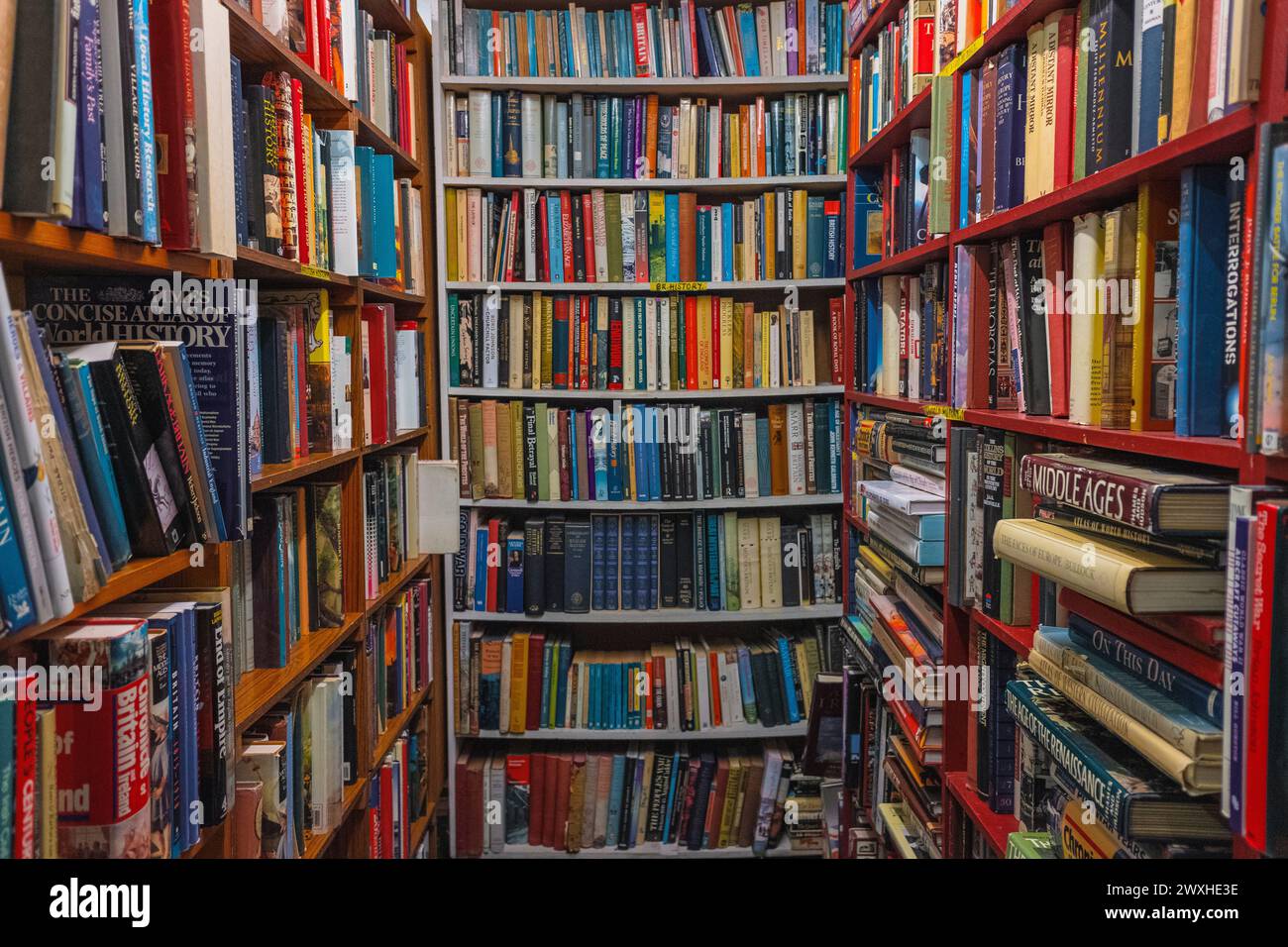 Masse von gebrauchten Büchern in Regalen in einem Second-Hand-Buchladen Stockfoto