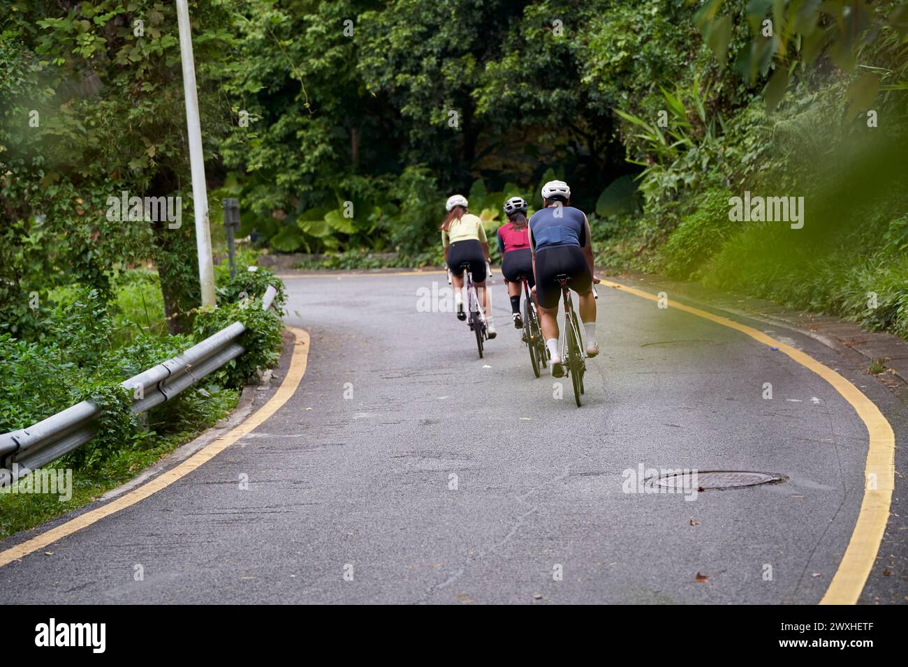 Rückansicht einer Gruppe von drei jungen asiatischen erwachsenen Radfahrern, die im Freien auf der Landstraße Fahrrad fahren Stockfoto