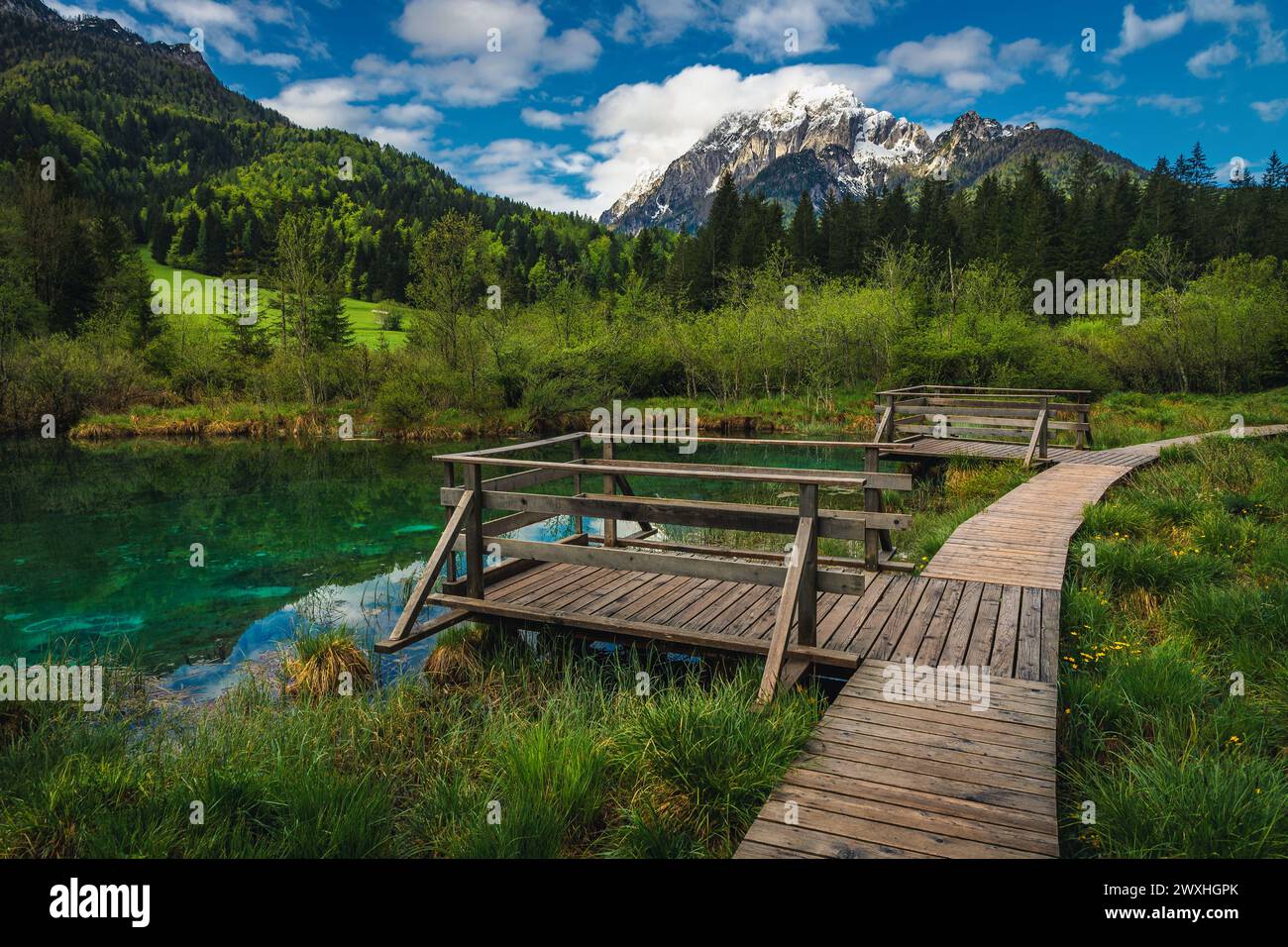 Atemberaubender kleiner türkisfarbener Bergsee in Slowenien. Holzbrücke und Wanderweg in der Nähe des Zelenci-Sees, Quelle des Flusses Sava Dolinka, Kran Stockfoto