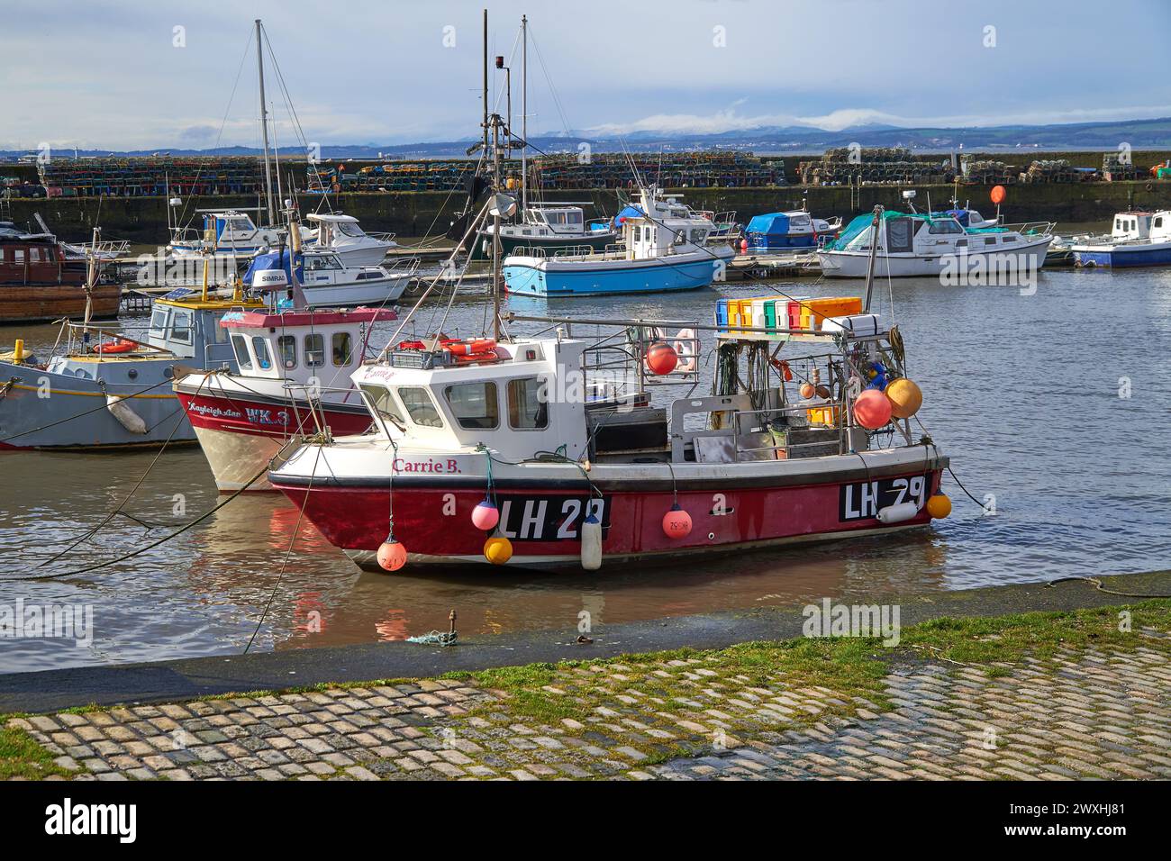 Fischerboote in einem Hafen bei Ebbe in Newhaven, Schottland, Großbritannien Stockfoto
