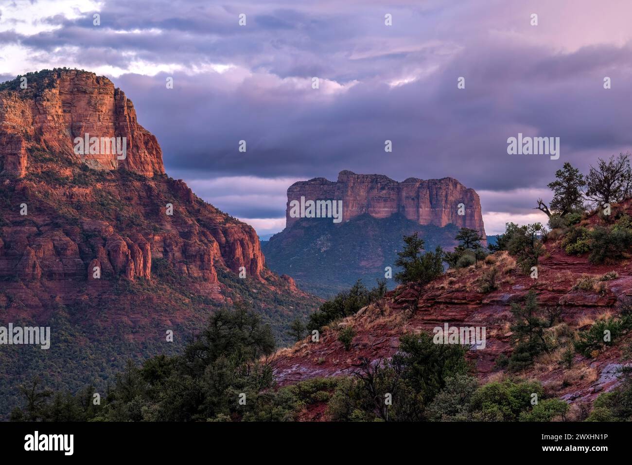 Twin Buttes und Courthouse Butte bei Sonnenuntergang. Sedona, Arizona, USA, von Dominique Braud/Dembinsky Photo Assoc Stockfoto