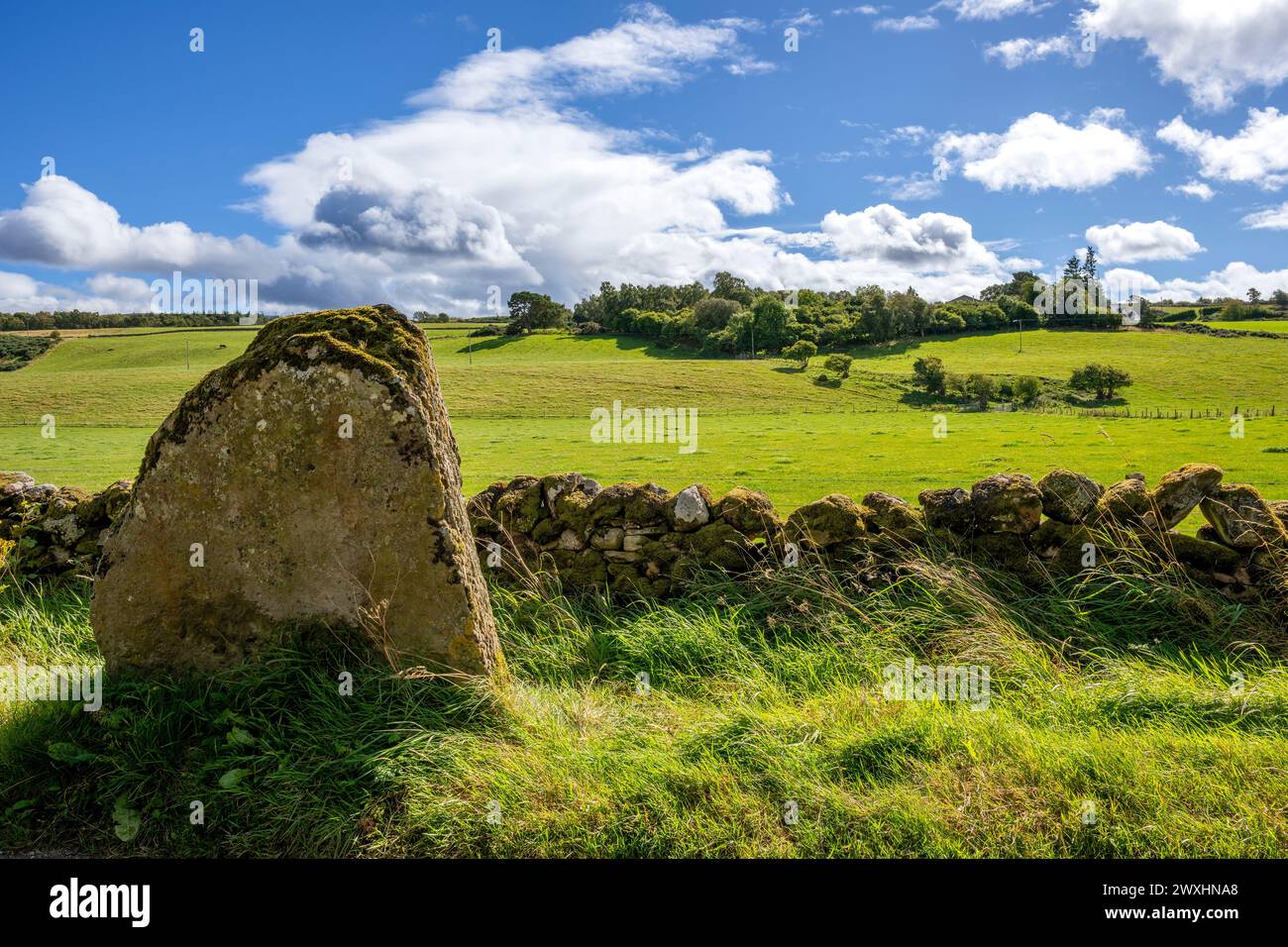 Stehendes Eisen aus der Eisenzeit, Clava Cairns, in der Nähe von Inverness, Schottland, Herbst, von Dominique Braud/Dembinsky Photo Assoc Stockfoto