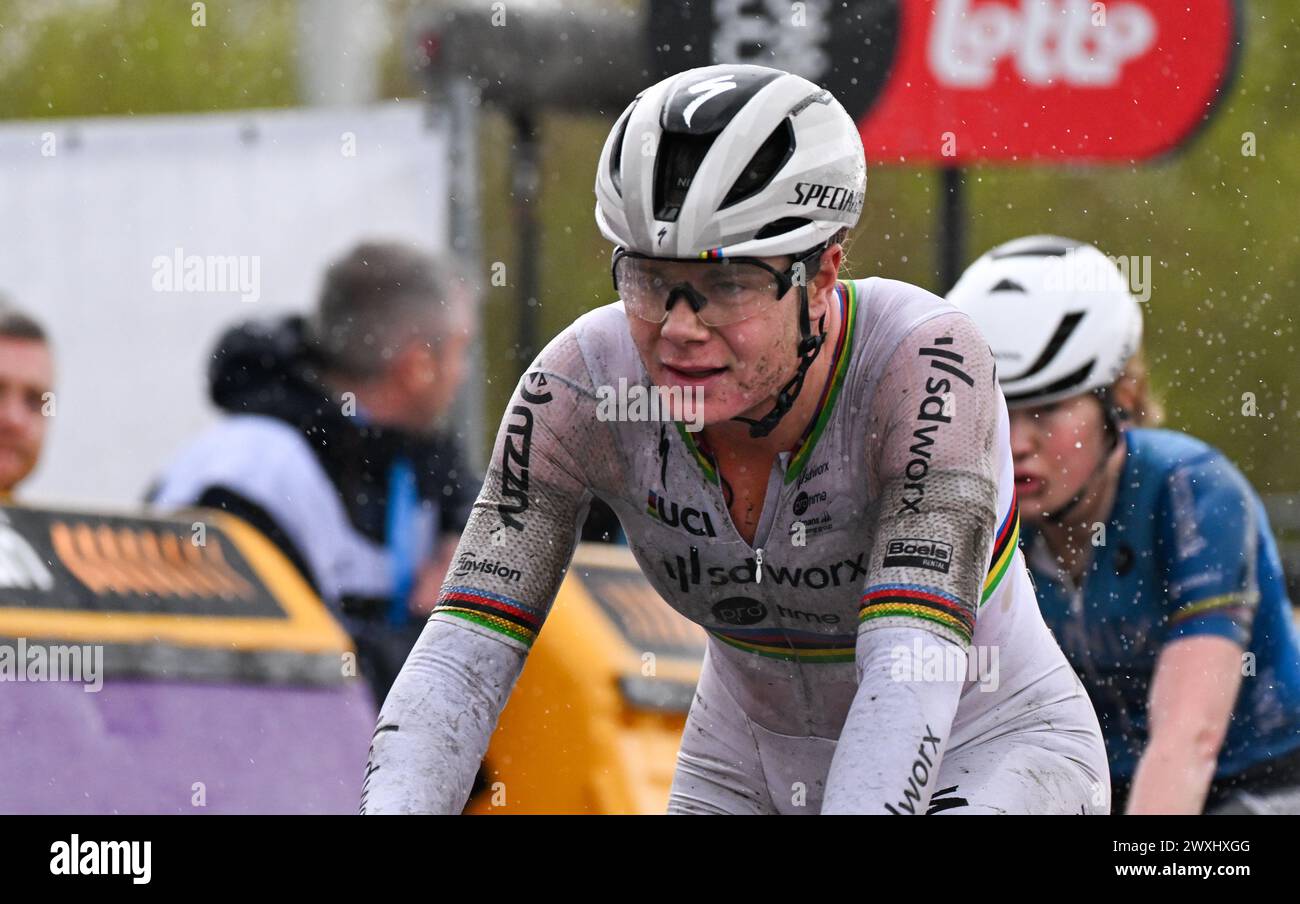 Belgische Lotte Kopecky von SD Worx - ProTime sieht nach dem eintägigen Radrennen der „Ronde van Vlaanderen/ Tour des Flandres/ Tour of Flanders“, 163 km mit Start und Ziel in Oudenaarde, Sonntag, den 31. März 2024, niedergeschlagen aus. BELGA FOTO LAURIE DIEFFEMBACQ Stockfoto