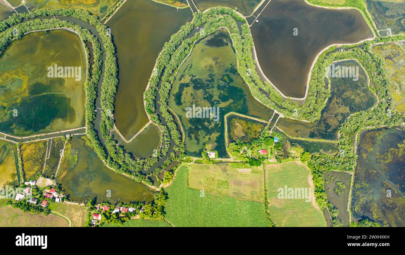 Aus der Vogelperspektive überflutete Reisfelder und Ackerland auf dem Land. Agrarlandschaft. Hinigaran River. Negros, Philippinen Stockfoto