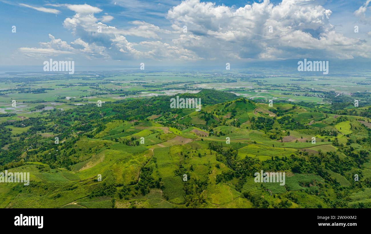 Draufsicht auf Zuckerrohrplantagen und landwirtschaftliche Flächen an den Hängen der Hügel. Negros, Philippinen Stockfoto