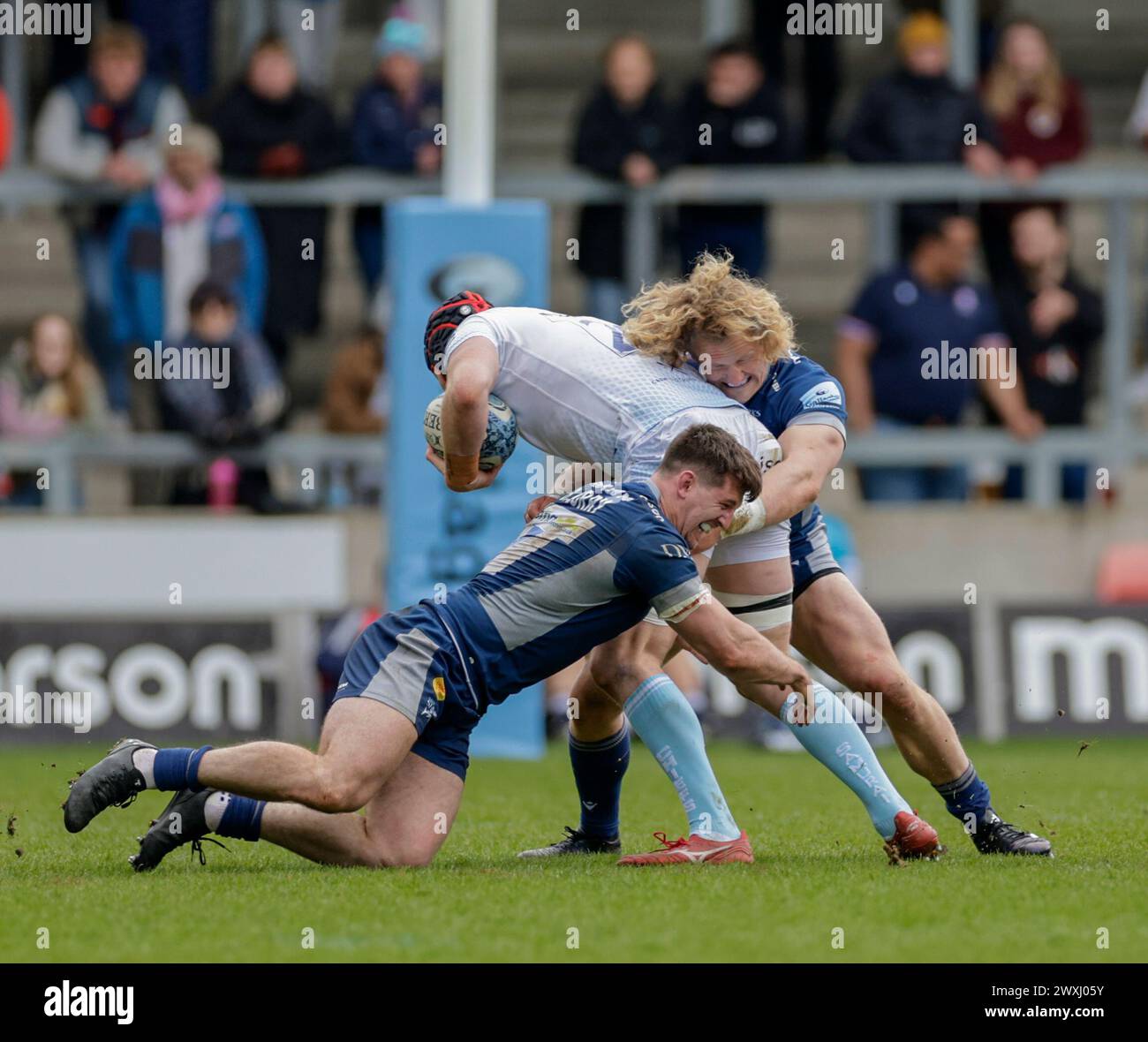 Salford, Lancashire, Großbritannien. 31. März 2024; Salford Community Stadium, Salford, Lancashire, England; Gallagher Premiership Rugby, Sale Sharks versus Exeter Chiefs; Jack Dunne von Exeter Chiefs wird von Ben Curry (c) und Ross Harrison von Sale Sharks Credit: Action Plus Sports Images/Alamy Live News angegriffen Stockfoto