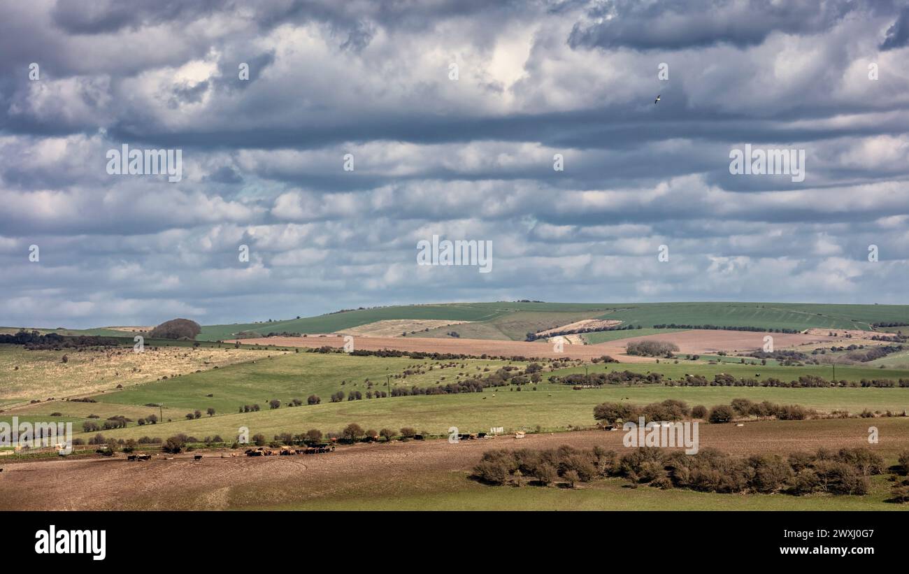 South Downs Farmland Stockfoto