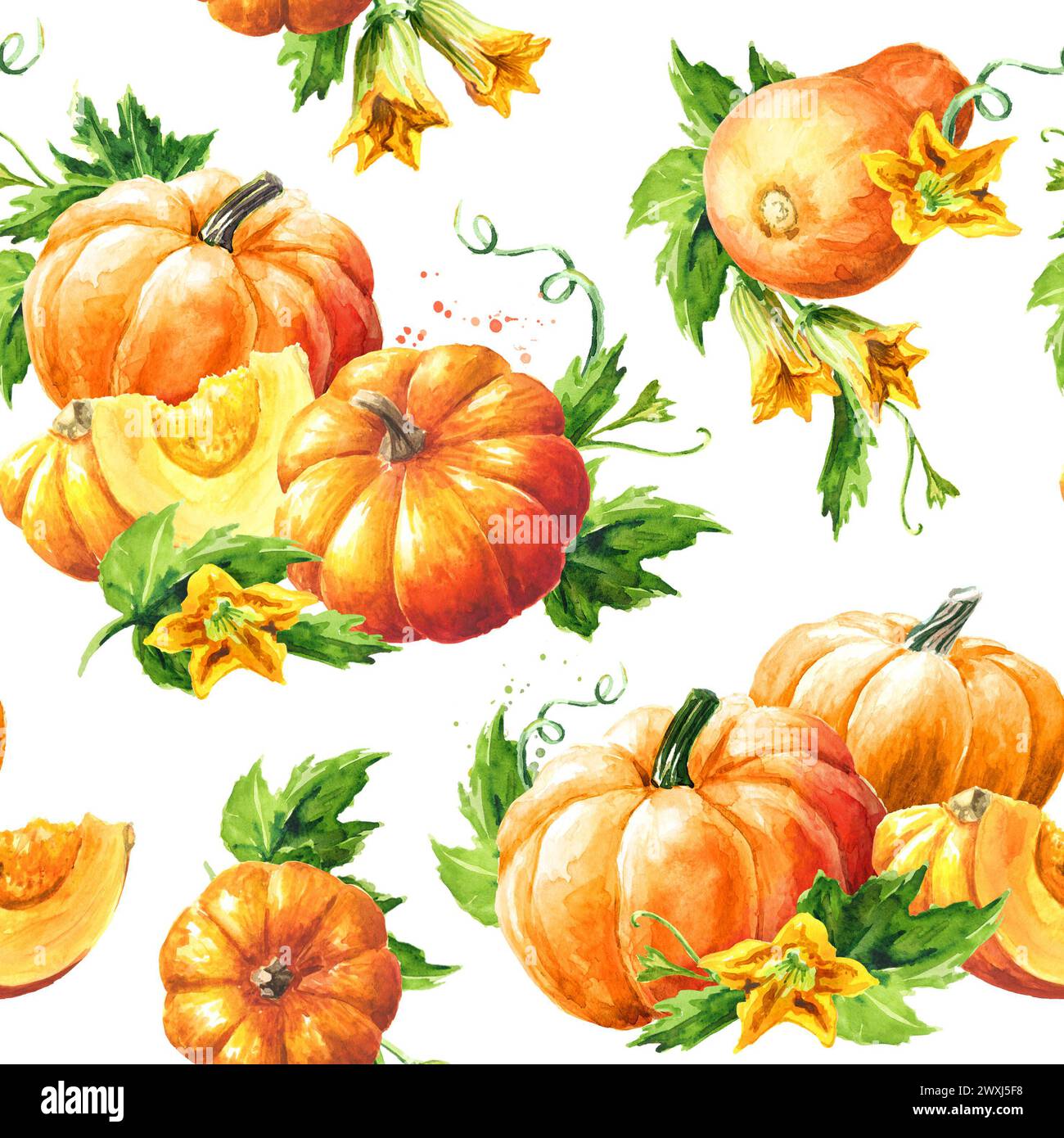 Kürbisernte im Herbst. Handgezeichnetes nahtloses Aquarellmuster Stockfoto