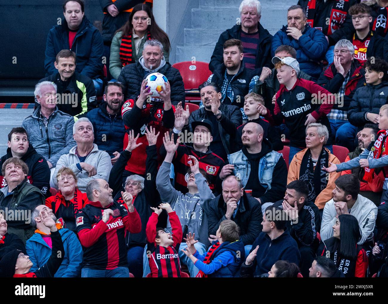 Leverkusen, BayArena, 30.03.2024: Leverkusen Anhänger fängt den Spielball beim Spiel der 1.Bundesliga Bayer 04 Leverkusen vs. TSG 1899 Hoffenheim. Stockfoto