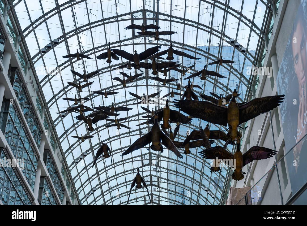Flight Stop, auch Flightstop genannt, ist ein Kunstwerk von Michael Snow im Eaton Centre in Toronto, Kanada Stockfoto