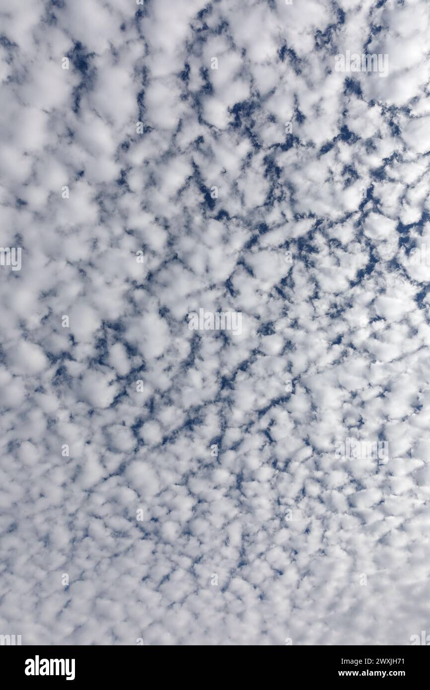 Flauschige weiße Wolken und blauer Himmel. Ich schaue gerade nach oben. Stockfoto