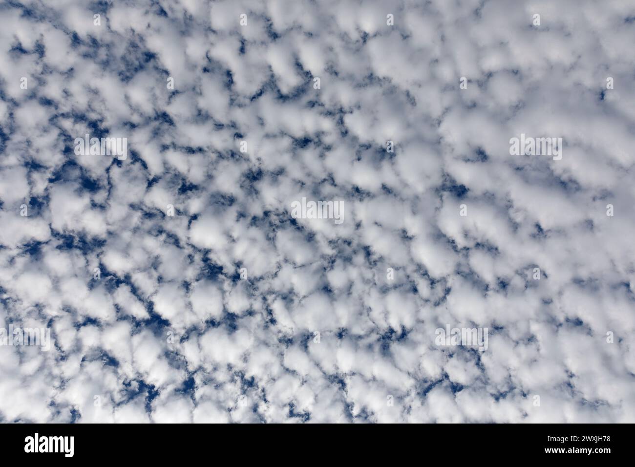 Flauschige weiße Wolken und blauer Himmel. Ich schaue gerade nach oben. Stockfoto