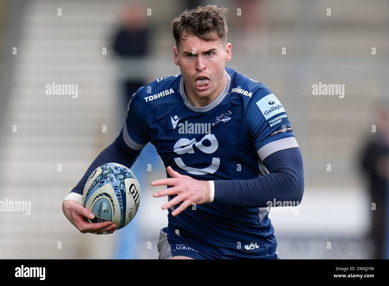 Tom Roebuck von Sale Sharks läuft mit dem Ball während des Gallagher Premiership Matches Sale Sharks vs Exeter Chiefs im Salford Community Stadium, Eccles, Großbritannien, 31. März 2024 (Foto: Steve Flynn/News Images) Stockfoto